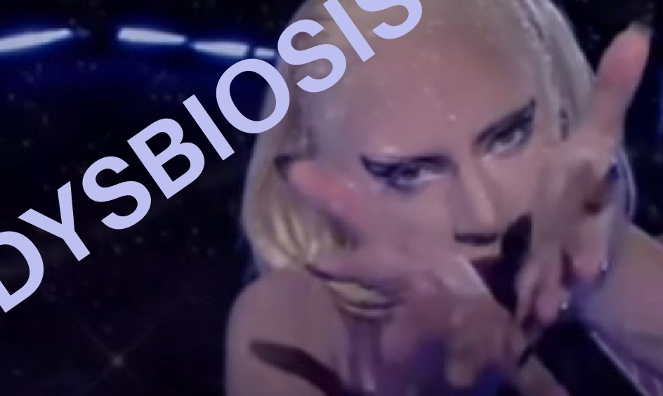 dysbiosis lady gaga little monsters